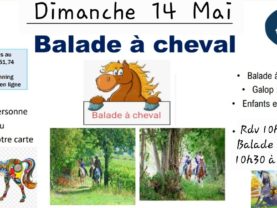 Ecole Française d’Equitation (Poney et Cheval)