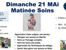Ecole Française d’Equitation (Poney et Cheval)