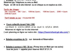 Stages durant les Vacances