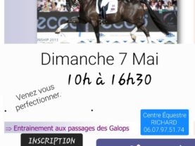 Ecole Française d’Equitation (Poney et Cheval)