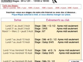 Stages durant les Vacances