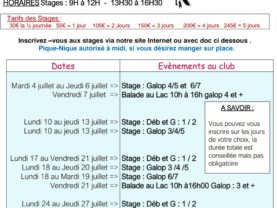 Stages durant les Vacances