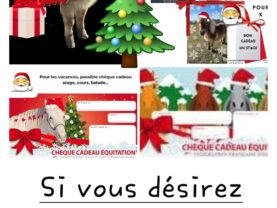 Anniversaires / Activités variées / Balade à poney tous les jours