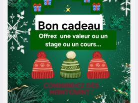 Anniversaires / Activités variées / Balade à poney tous les jours