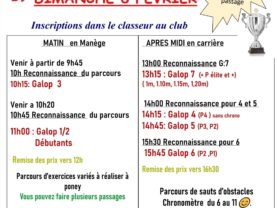 Anniversaires / Activités variées / Balade à poney tous les jours