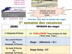 Anniversaires / Activités variées / Balade à poney tous les jours